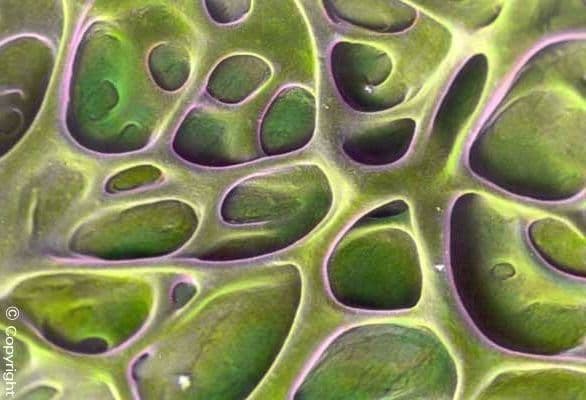 Tending the Tensions: Reflections on Power, Agency, and Community